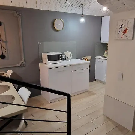 чорно -білий люкс в центрі Apartment Lviv