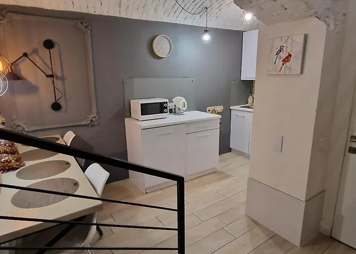 чорно -білий люкс в центрі світло 24на7 Apartamento Leópolis